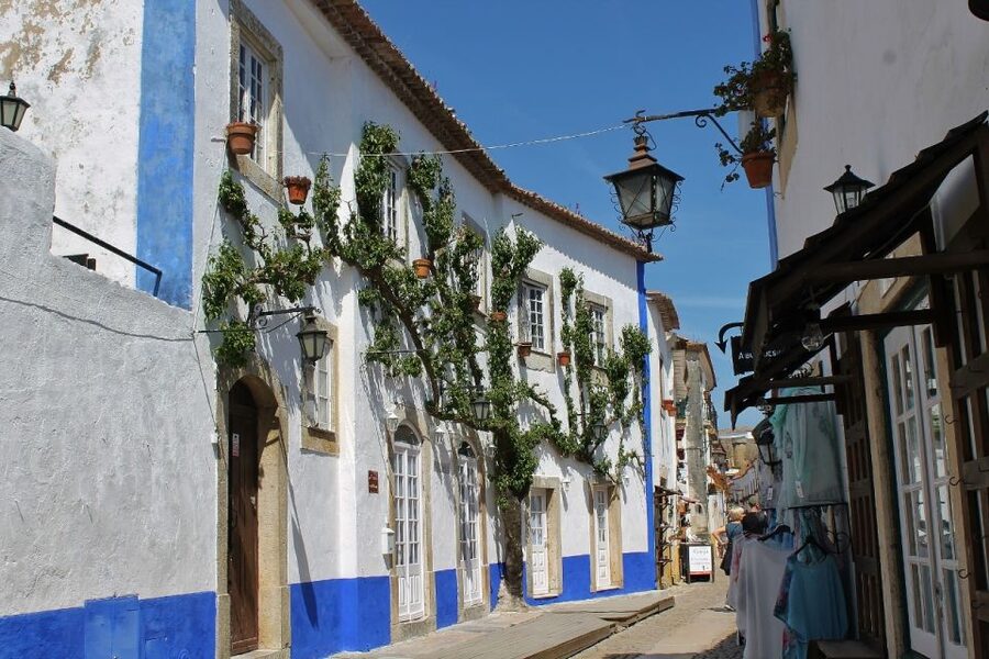 From Lisbon: Óbidos and Mafra Palace Private Tour - Seeing the scale of Mafra National Palace