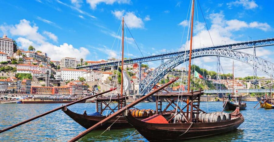From Lisbon: Porto Private Full-Day Tour - Reading Porto through Baixa and the old center