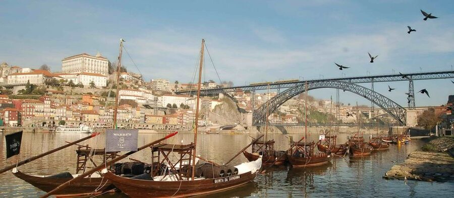 From Lisbon: Porto Private Full-Day Tour - Booking details that affect your day