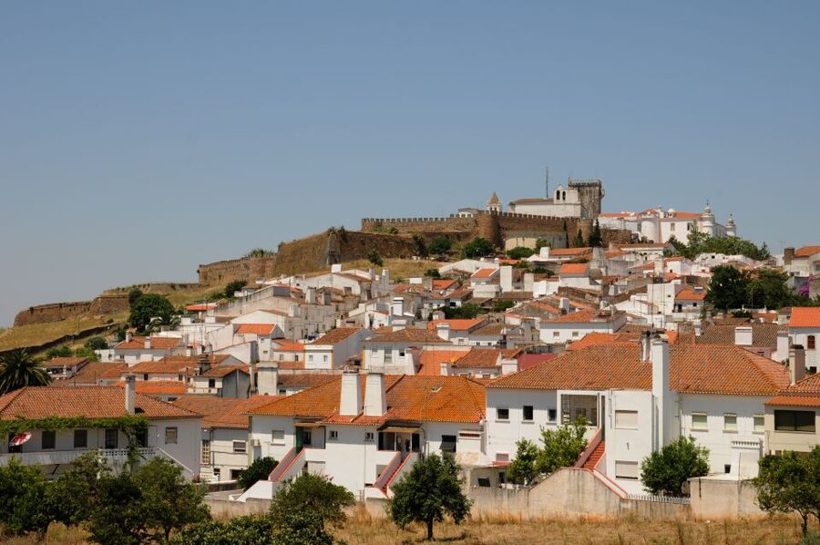 From Lisbon: Private Customized Small-Group Tour to Evora - What the $106 price really covers