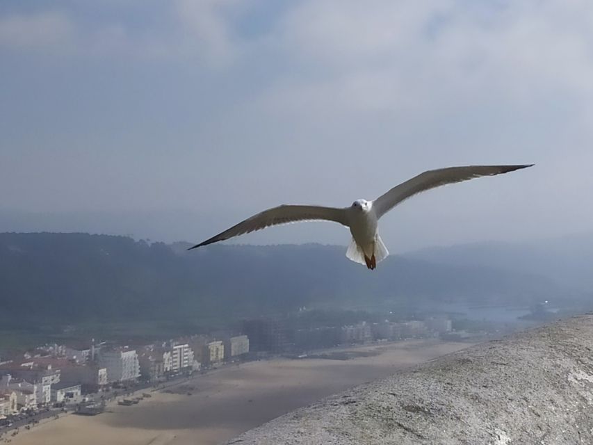 From Lisbon: Private Óbidos and Nazaré Tour - FAQ