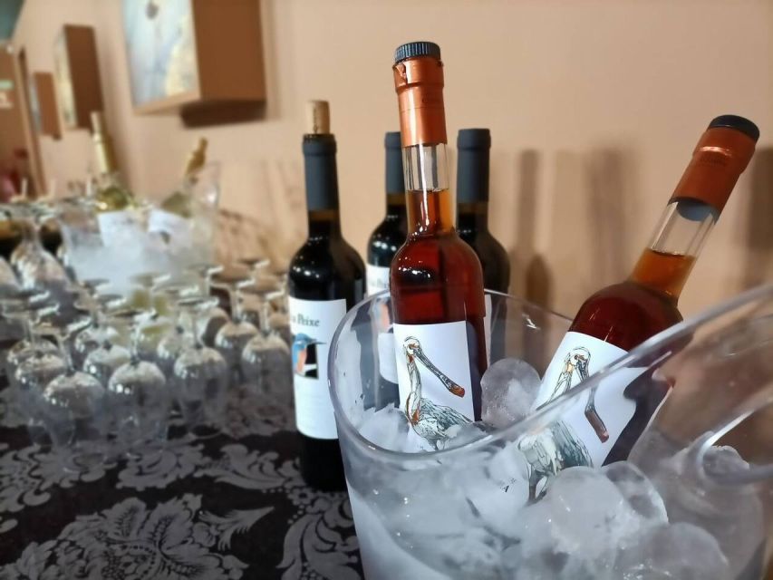 From Lisbon: Private Scenic Wine Tour in Arrabida - How the eight-hour pace feels