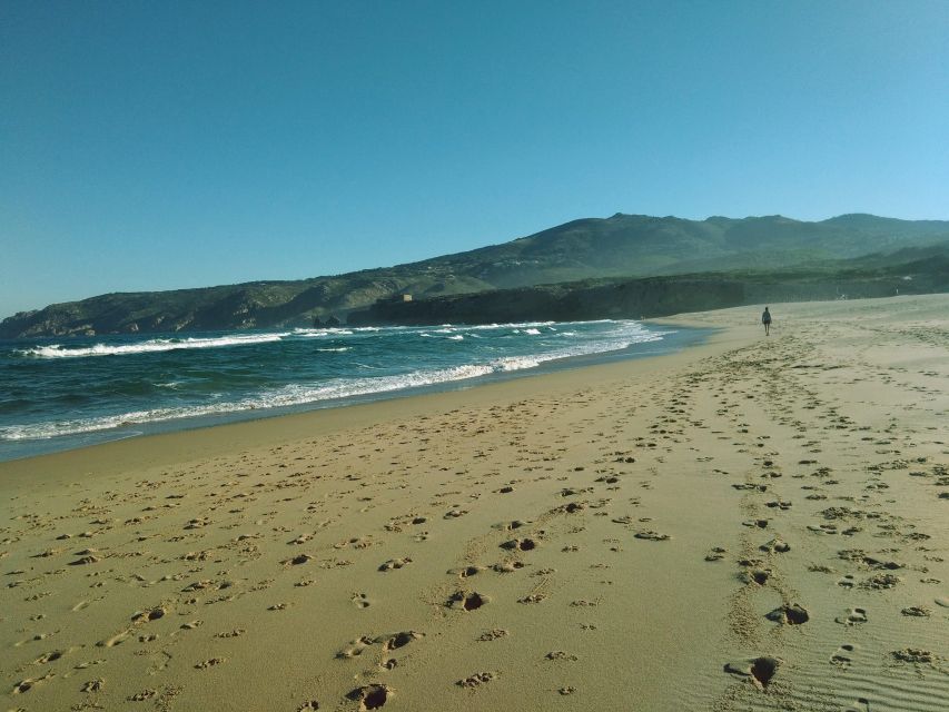 From Lisbon: Sintra and Cascais Natural Park Private Tour - Why this private Lisbon day trip works