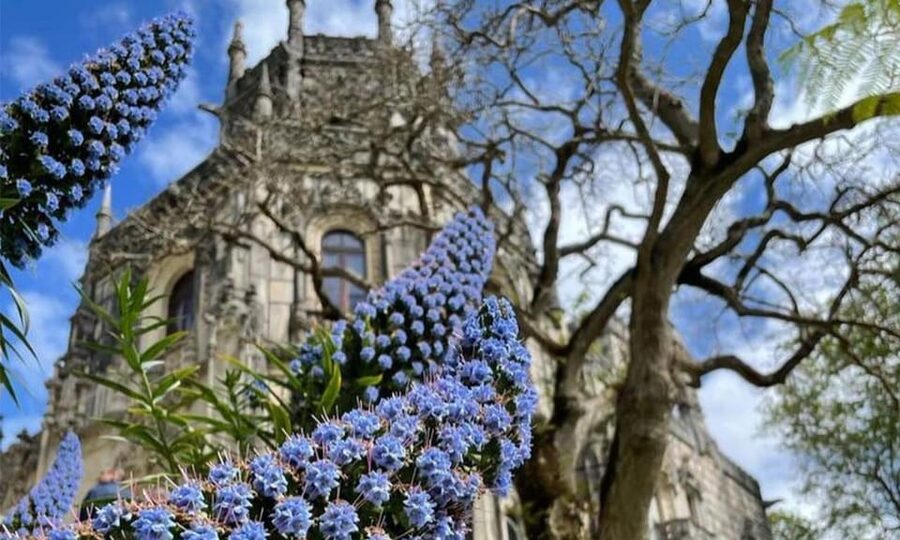 From Lisbon: Sintra, Pena Palace and Regaleira Day Trip - What the small van changes
