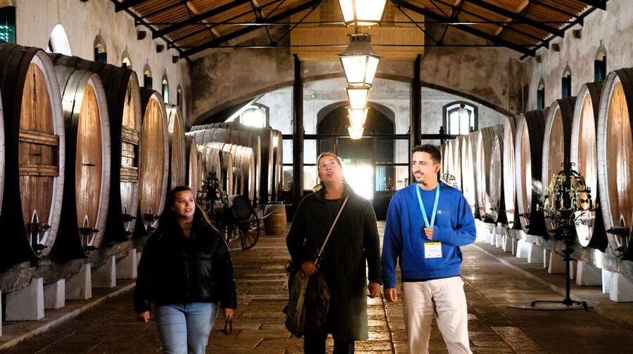 From Lisbon: Sintra, Pena Palace, Cascais and Wine Tasting - Why this Lisbon day trip works
