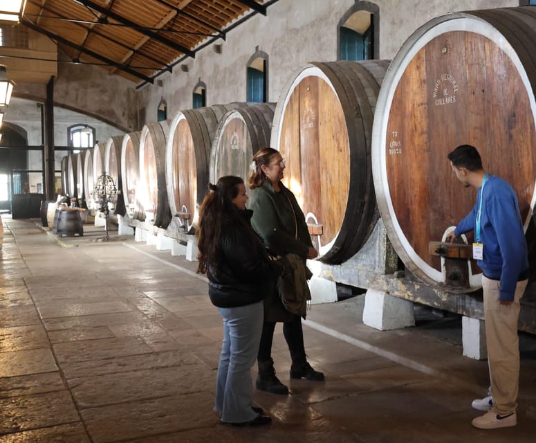 From Lisbon: Sintra, Pena Palace, Cascais and Wine Tasting - Sintra’s wooded hills and old town