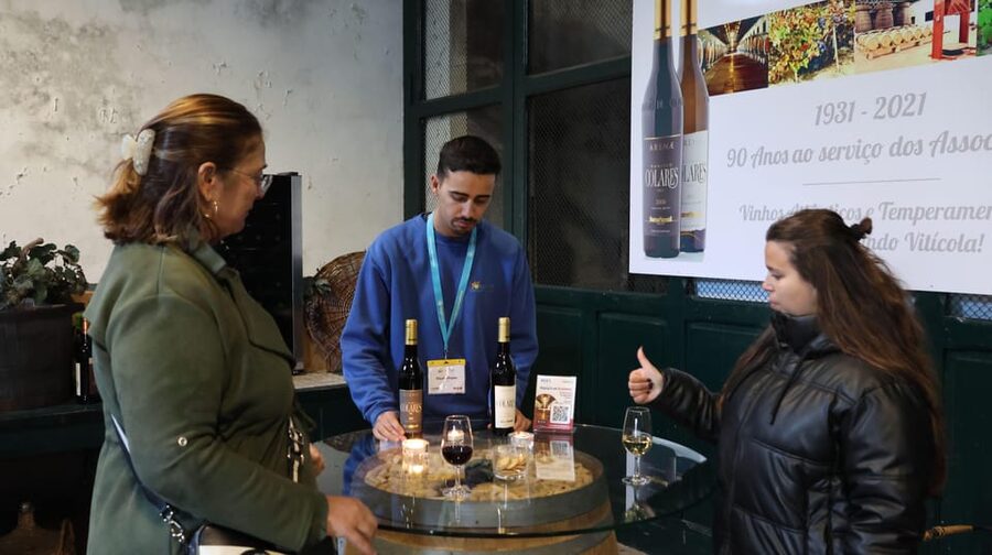 From Lisbon: Sintra, Pena Palace, Cascais and Wine Tasting - Guincho, Cascais, and Estoril