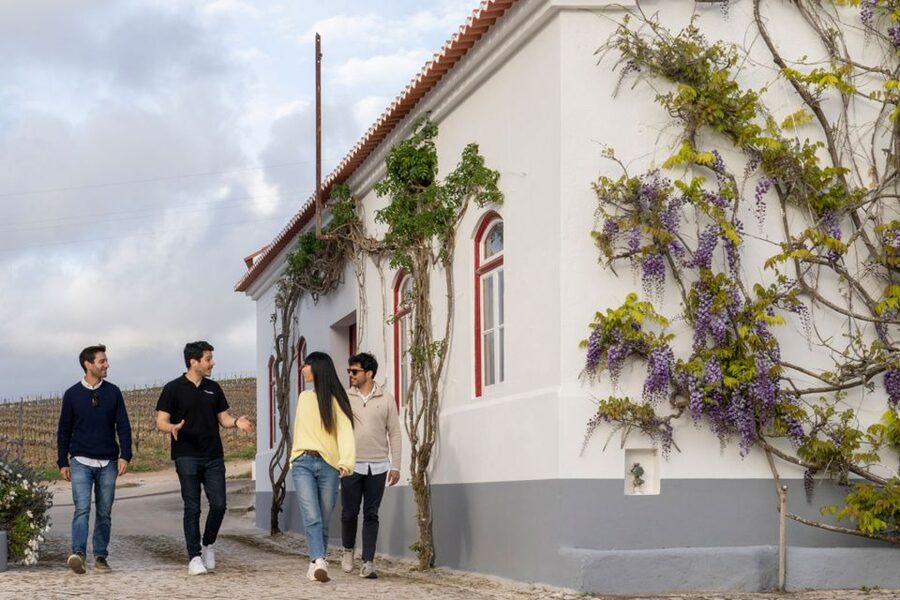 From Lisbon: Sintra & Pena Palace Day Trip with Wine Tasting - Why this Sintra and wine combination works