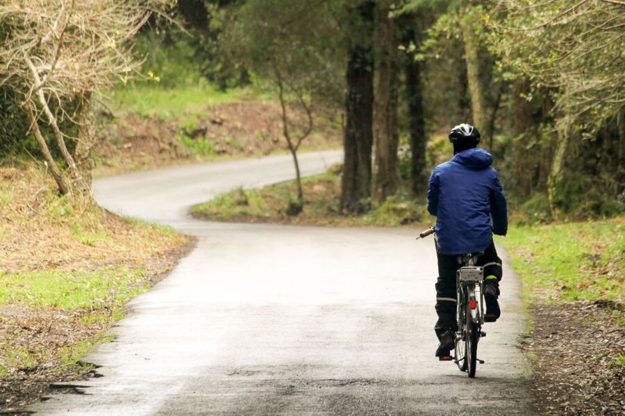 From Lisbon: Sintra to Cascais Full-Day Guided E-Bike Tour - Monserrate and the forest roads