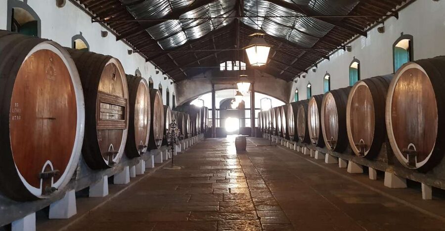 From Lisbon: Sintra Wine Experience - Cabo da Roca, the western edge of mainland Europe