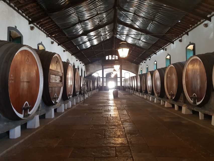 From Lisbon: Sintra Wine Experience - Sintra’s hillside winery and the day’s relaxed pace