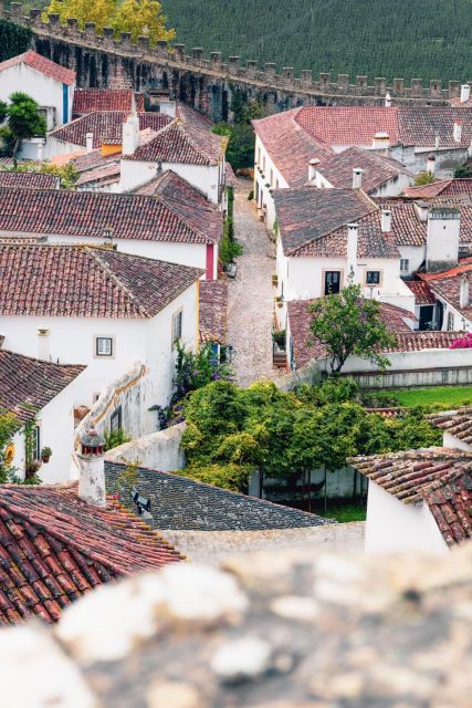 From Lisbon: Tansfer to Porto with stops until 3 cities - Coimbra and the University of Coimbra