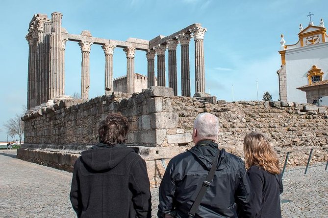 From Lisbon to Alentejo: Évora and Megaliths Full-Day Tour - How the small-group setup affects the day