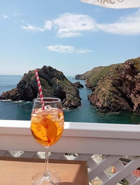 From Lisbon: Tour to Berlengas, a UNESCO natural reserve - Key points to know before booking