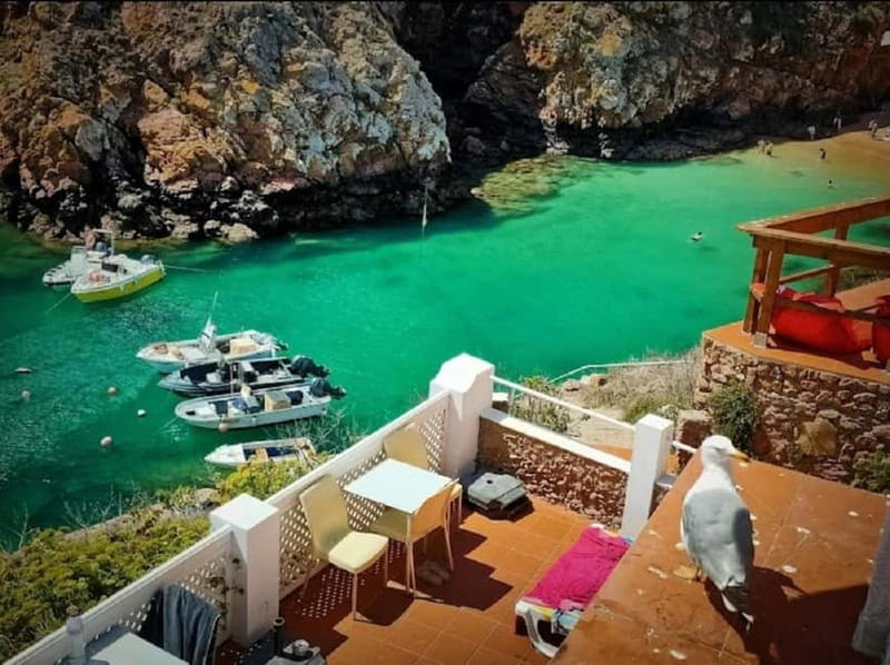 From Lisbon: Tour to Berlengas, a UNESCO natural reserve - Lunch and a quiet meal above the sea
