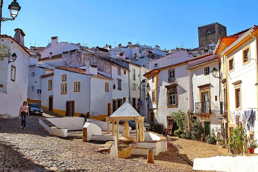 From Lisbon: Town-Hopping Transfer to Porto - What the private format adds