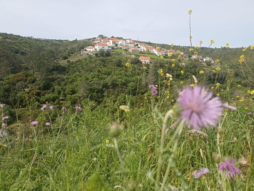 From Sintra, Mafra, or Ericeira: Hike and Wine Tour - Why this Cheleiros outing is different