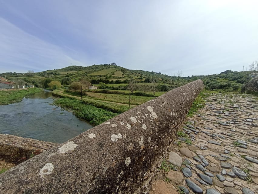 From Sintra, Mafra, or Ericeira: Hike and Wine Tour - Walking through the wine village of Cheleiros