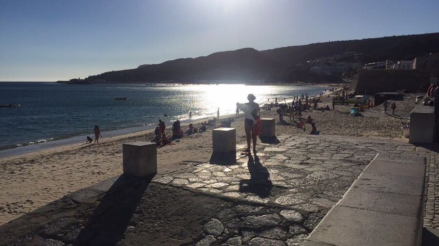 Full Day Private Wine Tour in Arrabida - Lunch is your responsibility