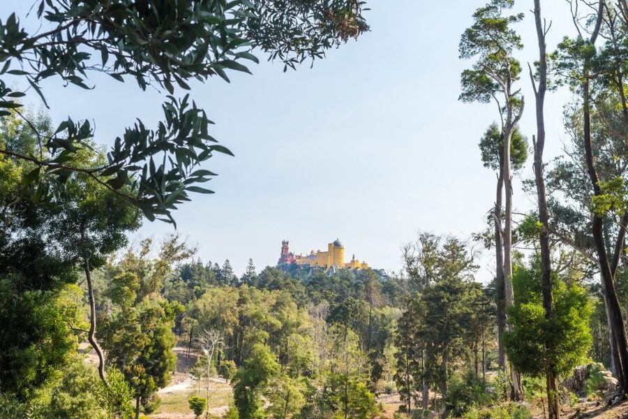 Half-Day Sintra Tour from Lisbon with Transfers - Sintra village and the Castle of the Moors