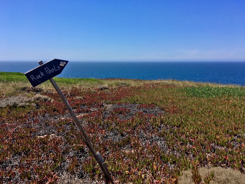Hiking Tour Along the West Coastline - Key points at a glance