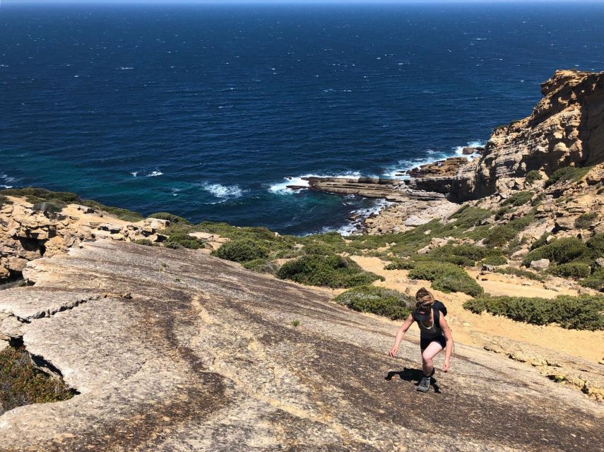Hiking Tour Along the West Coastline - Flowers, birds, and the open plateau