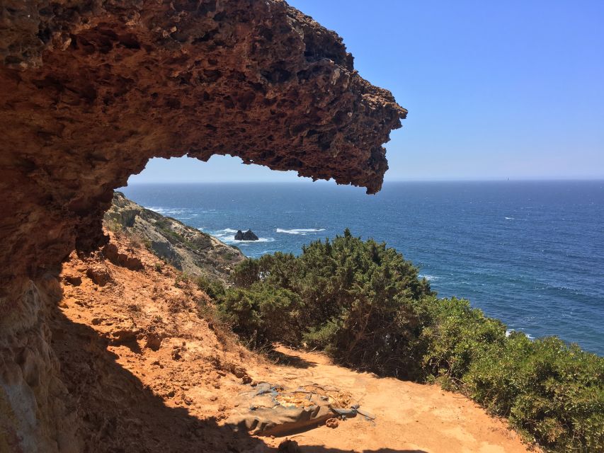 Hiking Tour Along the West Coastline - What the guides add to the day