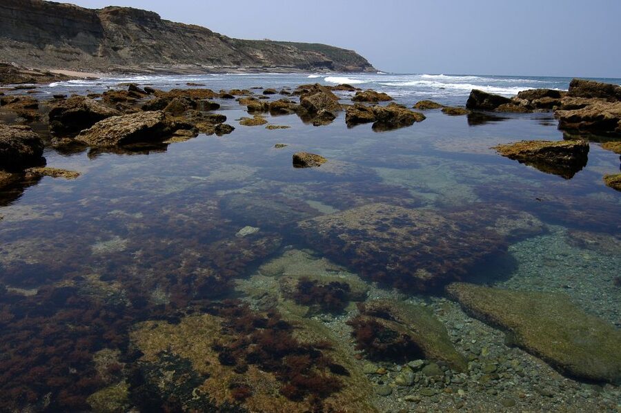 Hiking Tour Along the West Coastline - Fitness, equipment, and the real difficulty