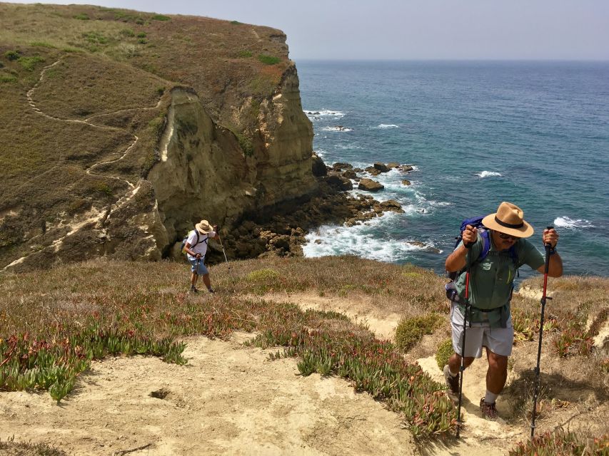 Hiking Tour Along the West Coastline - Pickup, price, and what the $118 buys you
