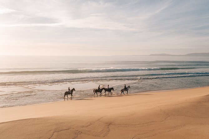 Horse riding on the beach, with private transfer from Lisbon - Key points to know before booking