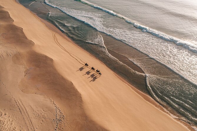 Horse riding on the beach, with private transfer from Lisbon - Arriving at Praia de Melides