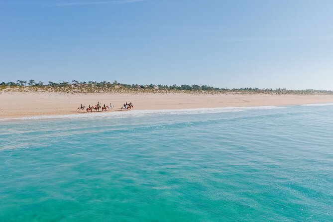 Horse riding on the beach, with private transfer from Lisbon - What the two-hour ride feels like