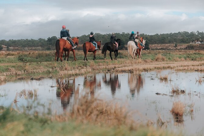 Horse riding on the beach, with private transfer from Lisbon - Is $275 per person fair?