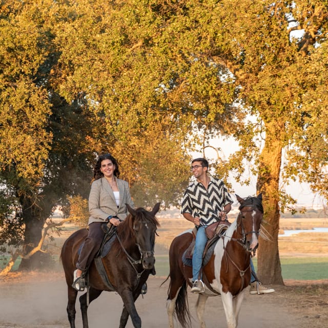 Horseback Riding On The Beach At Sunset - A quiet ride beside the Tagus River