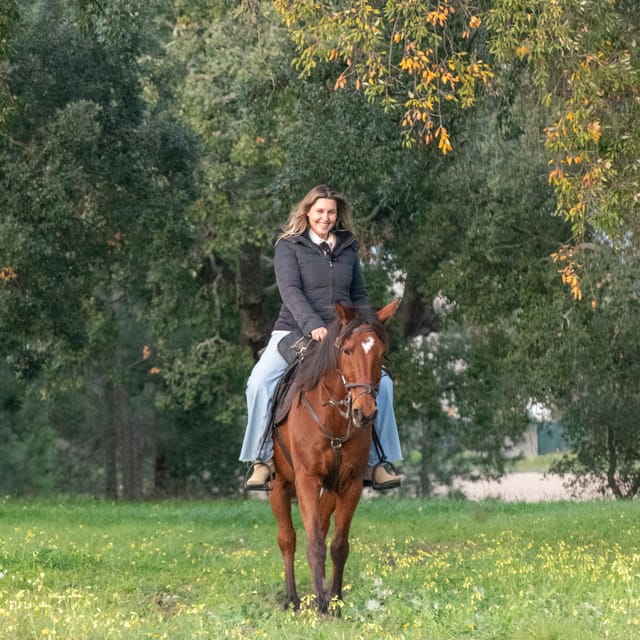 Horseback Riding On The Beach At Sunset - A good match for cautious riders and older children