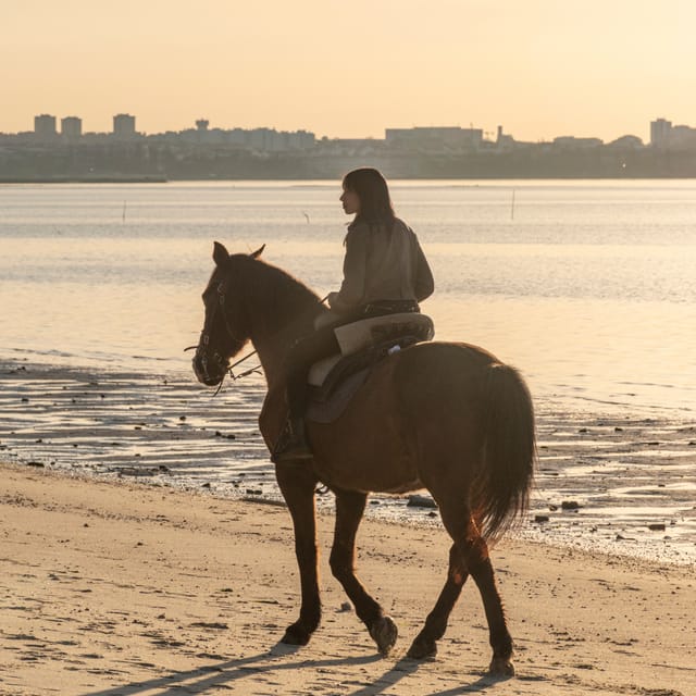 Horseback Riding On The Beach At Sunset - Is $153 a fair price?