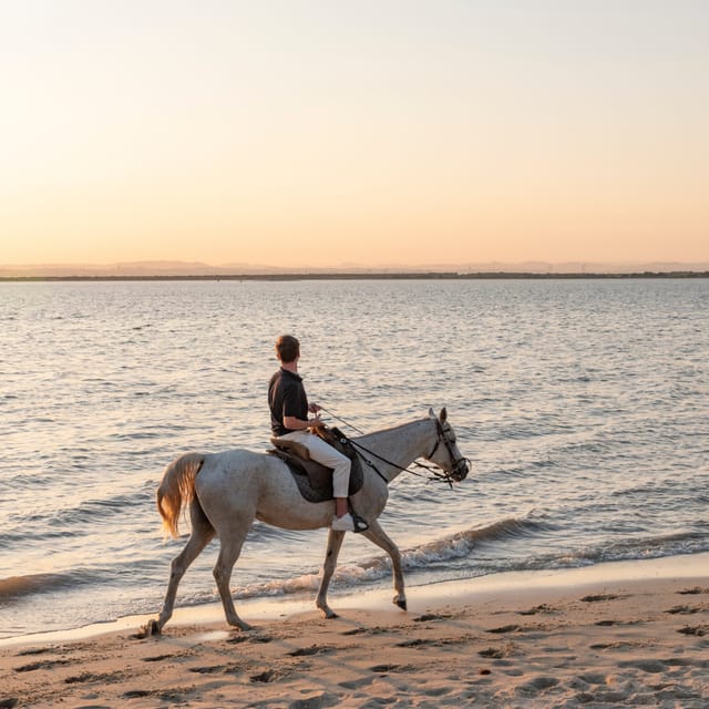 Horseback Riding On The Beach At Sunset - Weather, tides, and practical planning