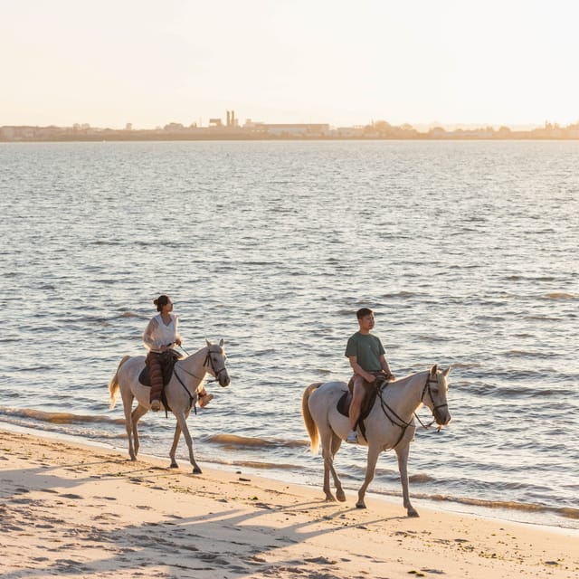 Horseback Riding On The Beach At Sunset - Why the arena briefing matters for first-timers