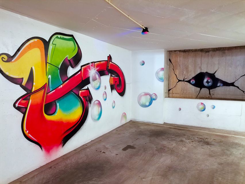 Lisbon: 2-Hour Street Art Photo Tour - Murals, alleys, and changing walls