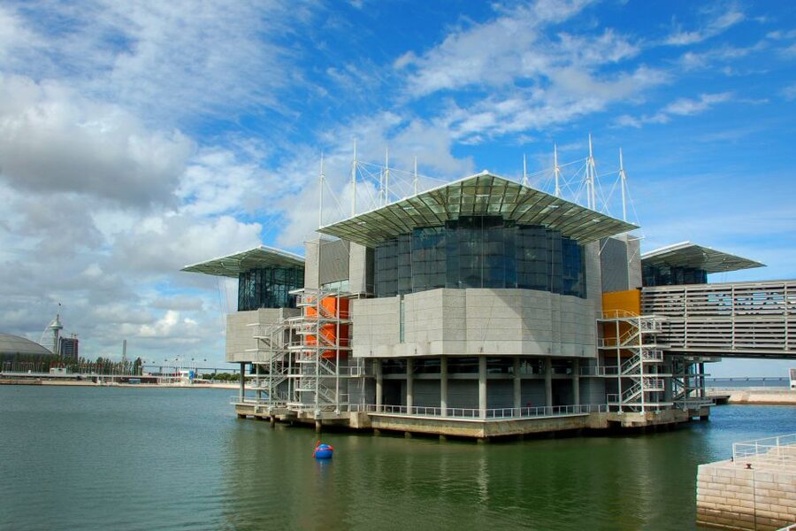 Lisbon: 3-in-1 Hop-On Hop-Off Bus and Tram Tours - Where the ticket gives you real value