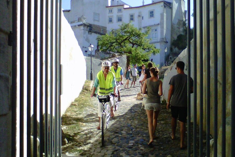 Lisbon: 7 Hills Half-Day Electric Bike Tour - Ascensor da Lavra and Lisbon’s early hill transport