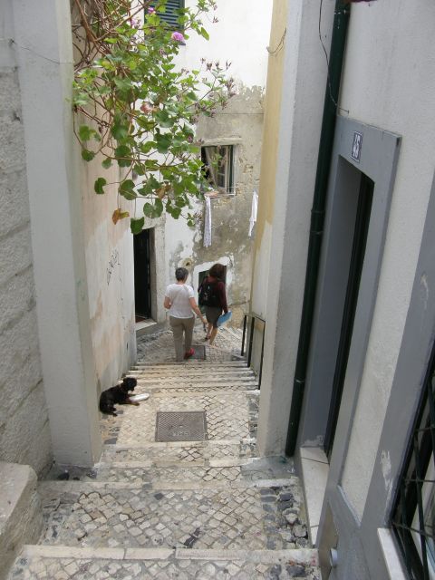 Lisbon: Alfama and São Jorge Castle Quarters Walking Tour - Fado, Largo do Chafariz de Dentro, and everyday Lisbon