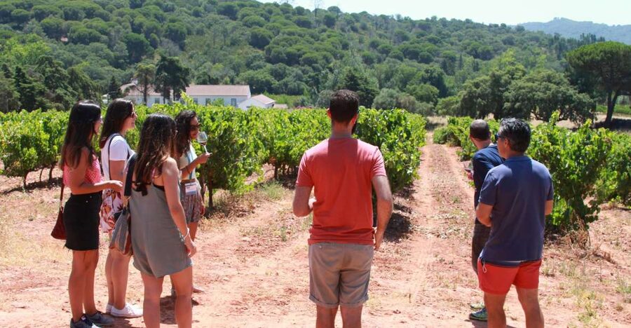 Lisbon: Arrábida and Sesimbra Day Trip with Wine - Key points at a glance