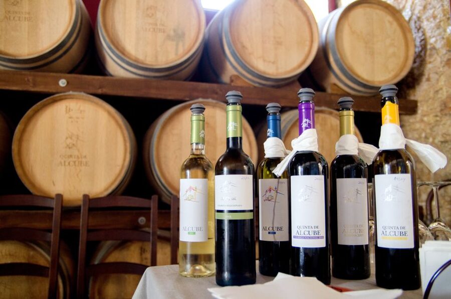 Lisbon: Arrábida and Sesimbra Day Trip with Wine - Who should book this tour?
