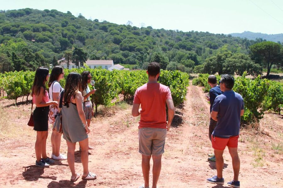 Lisbon: Arrábida and Sesimbra Day Trip with Wine - Why this makes a good Lisbon day trip