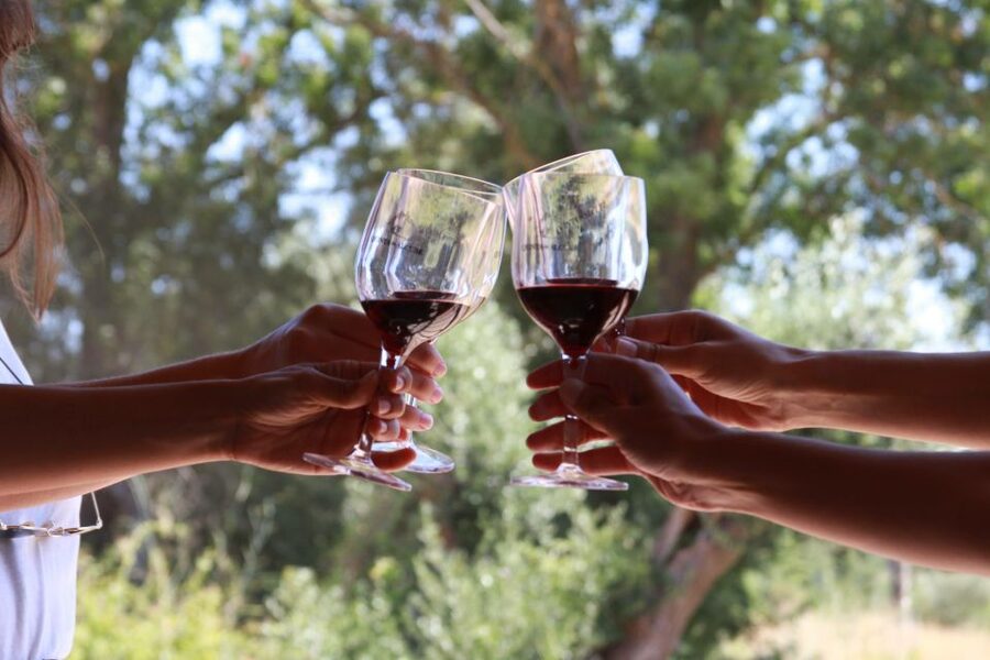 Lisbon: Arrábida and Sesimbra Day Trip with Wine - The first family-run wine estate