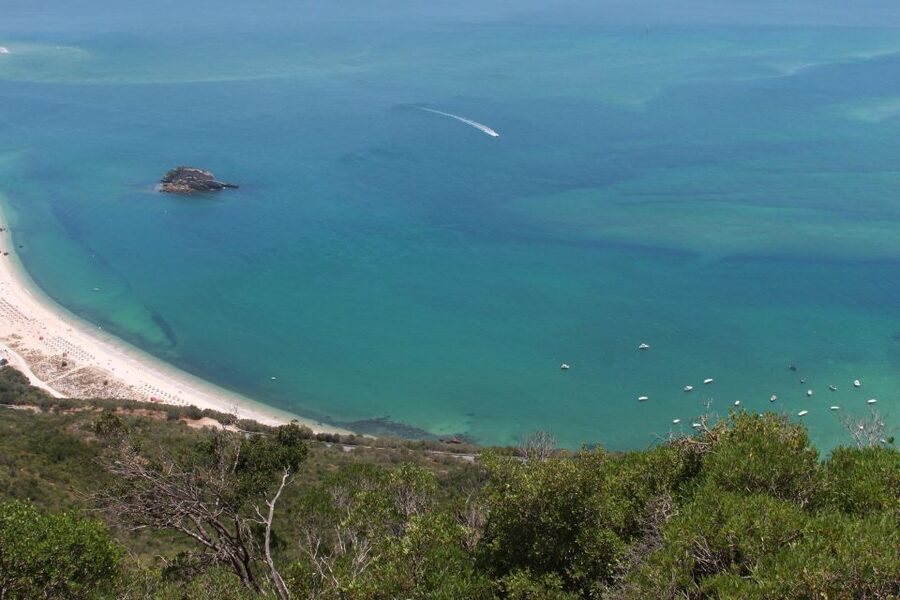 Lisbon: Arrábida and Sesimbra Day Trip with Wine - Transport, group size, and guide quality