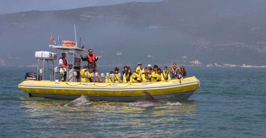 Lisbon: Arrábida Natural Park Dolphin Watching Boat Tour - Setting out on the semi-inflatable boat