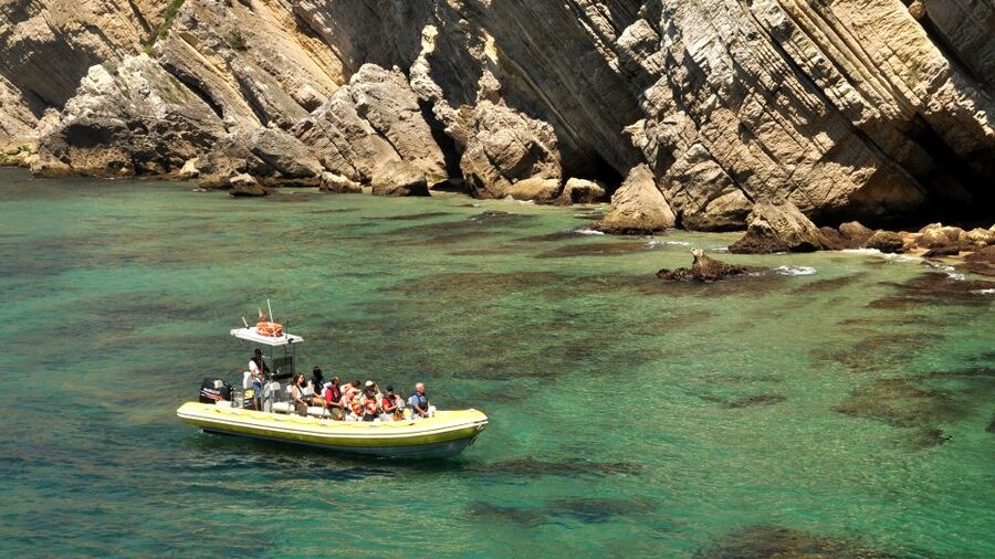 Lisbon: Arrábida Natural Park Dolphin Watching Boat Tour - Searching for dolphins in the Arrábida reserve