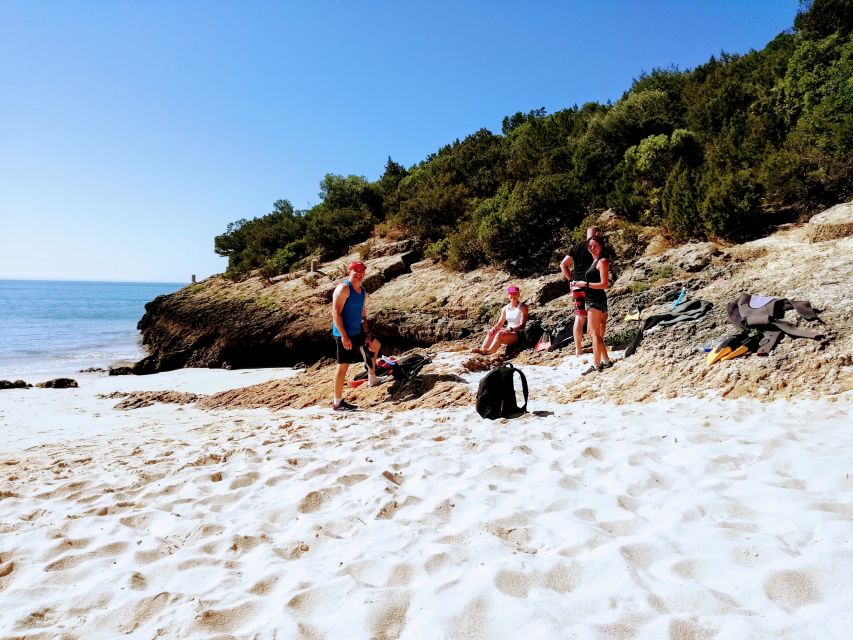 Lisbon: Arrábida Snorkeling Adventure - Arrábida’s cliffs and clear Atlantic bays